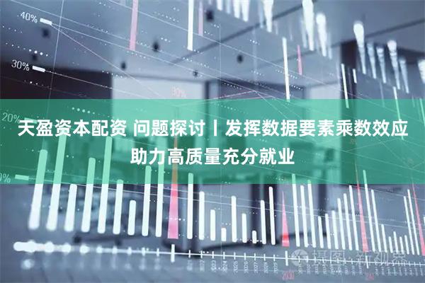 天盈资本配资 问题探讨丨发挥数据要素乘数效应助力高质量充分就业